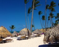paradisus