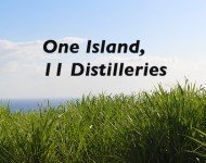 oneisland