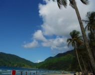 maracas