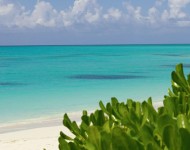 tci