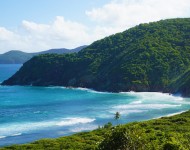guana