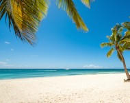 saona