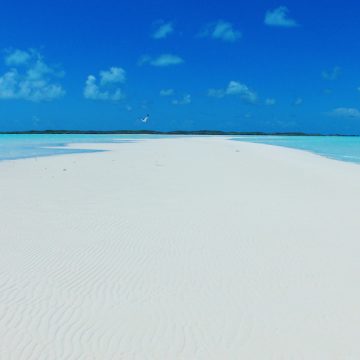 White Bay Sandbar