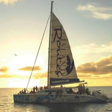 Island Routes Conference