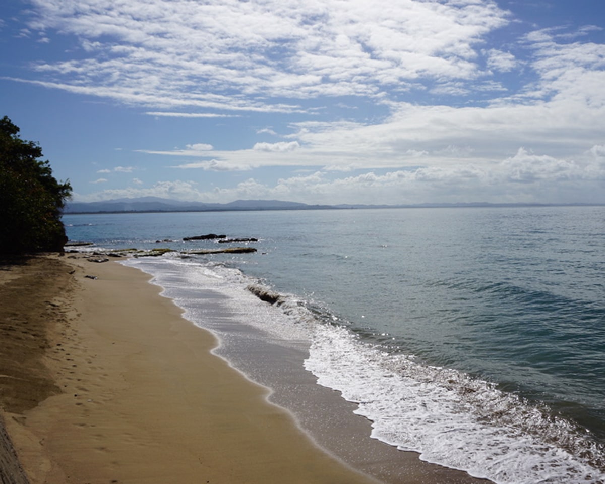 caribbean islands for surfing