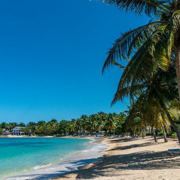 american airlines jamaica