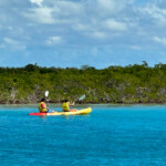 mangrove cay andros