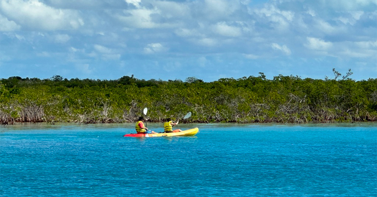 11 Amazing Places to Kayak in the Caribbean, From Mangrove Tunnels to Crystal-Clear Water