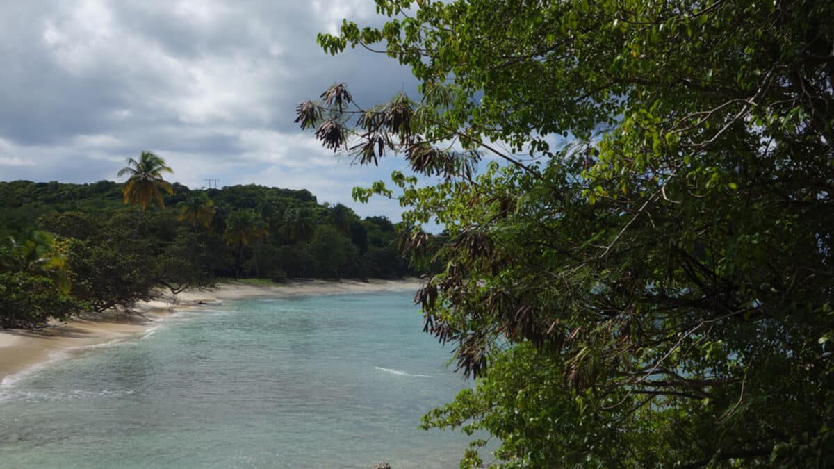 guadeloupe is an island hopping paradise