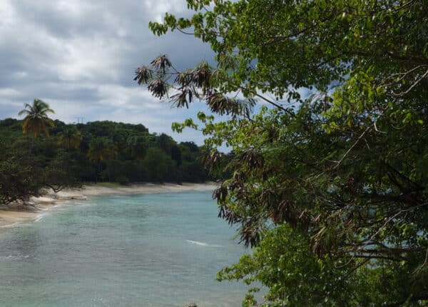 guadeloupe is an island hopping paradise