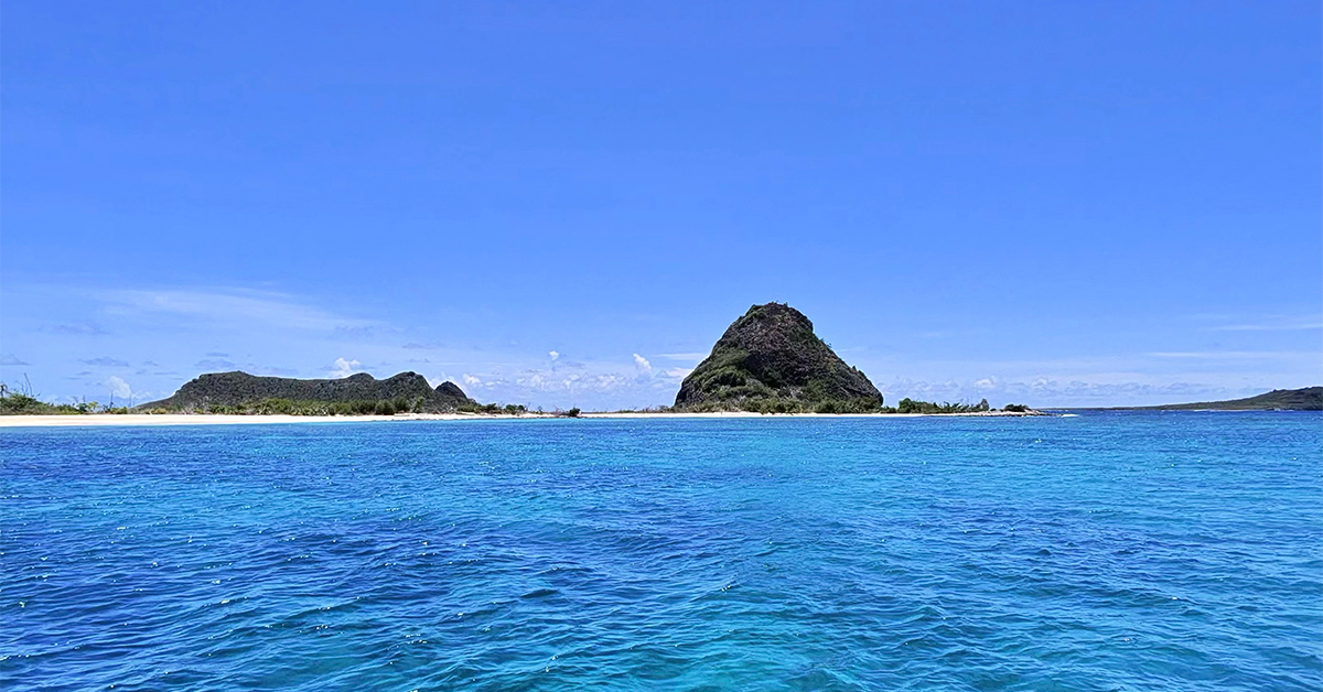 17 Small Caribbean Islands You Need to Visit This Summer, From Pink Sand Beaches to Swimming Pigs and Whale Sharks