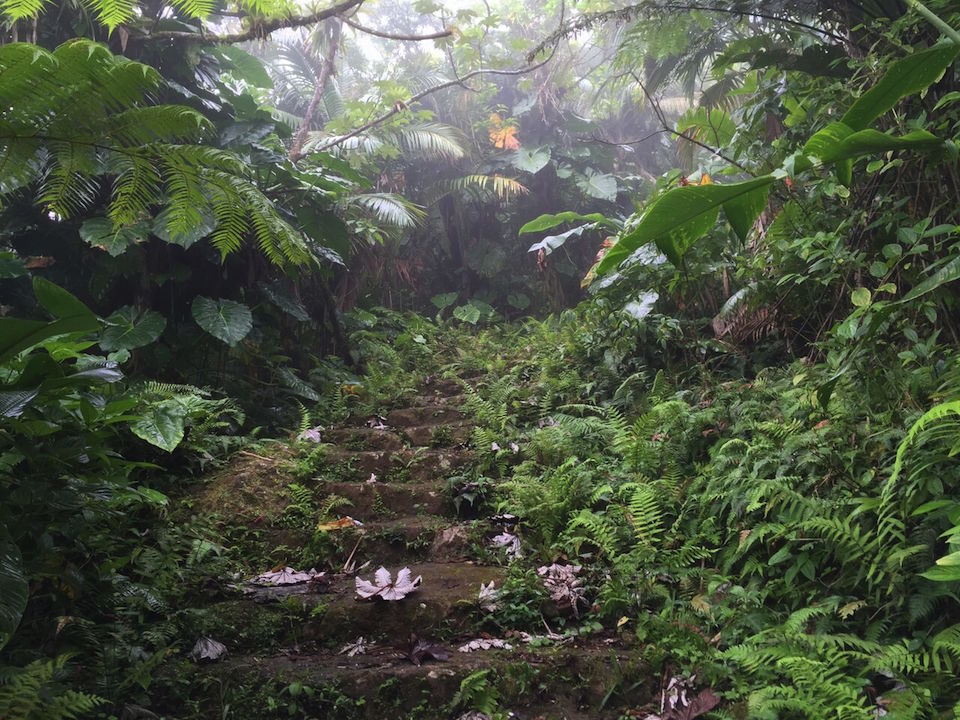 Hiking Saba S Mount Scenery