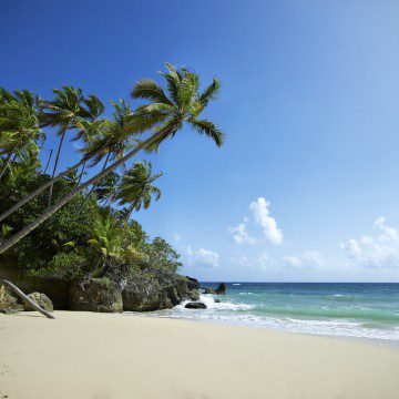 caribbean occupancy flat