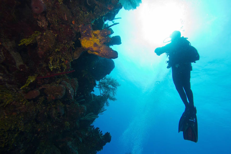 The 21 Best Dive Resorts in the Caribbean