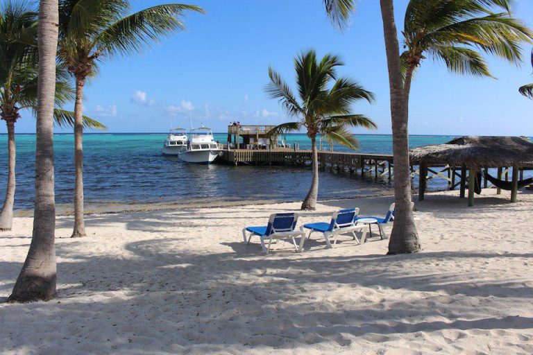 The 21 Best Dive Resorts in the Caribbean