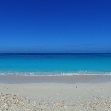 paradise beach bimini