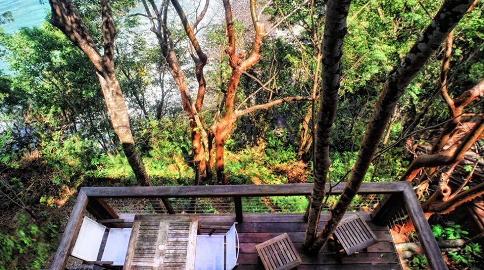 treehouse hotels