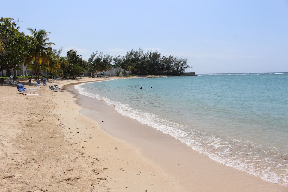 Jamaica to Appoint “Investment Ambassadors”