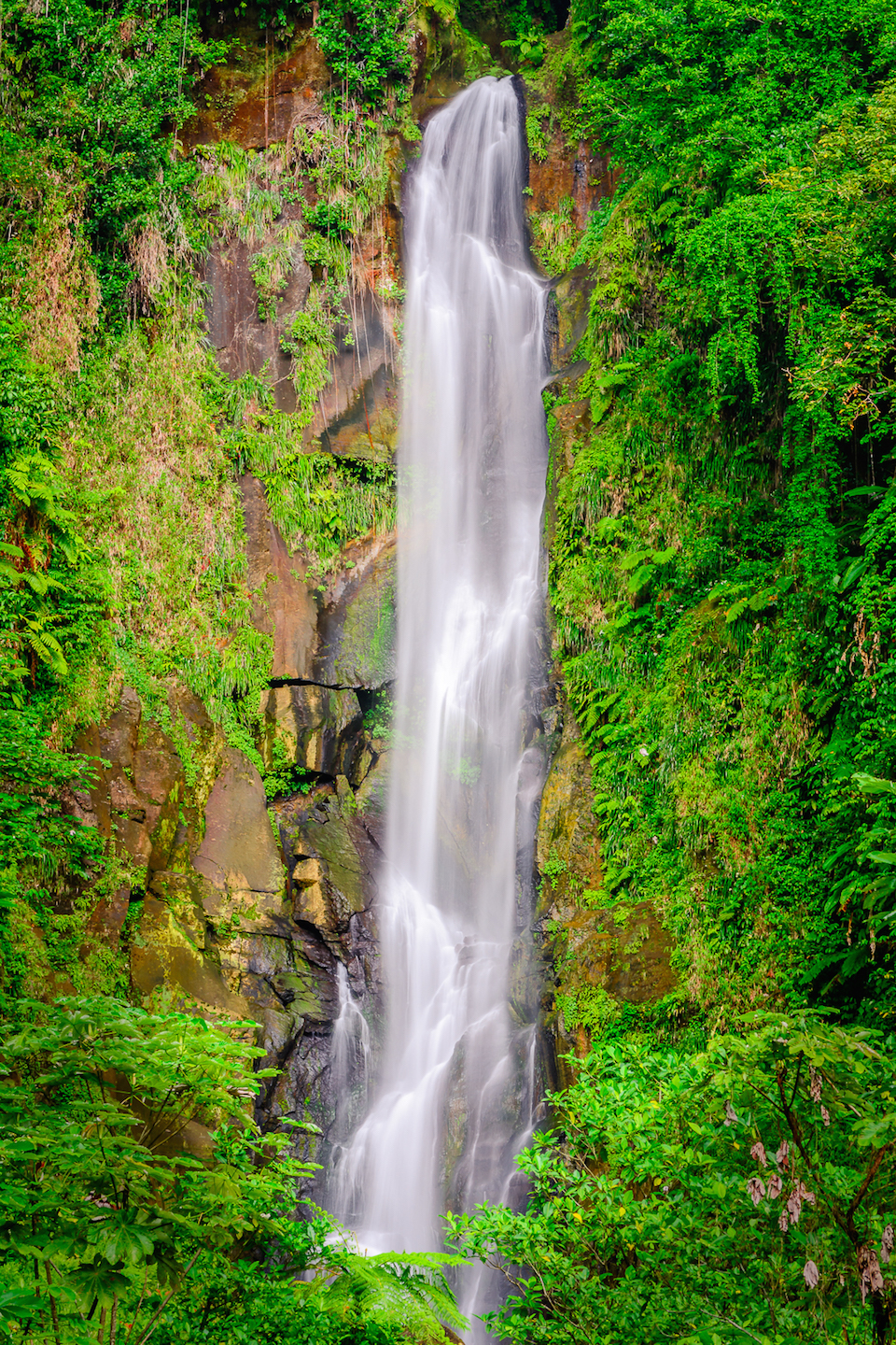 Man In The Falls