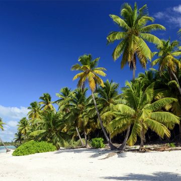 Bahia Principe All-Inclusive
