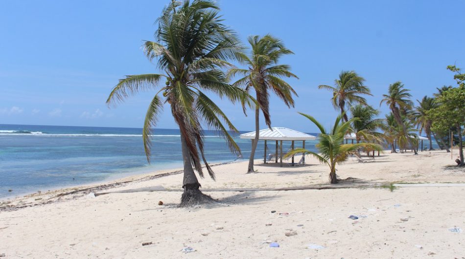 cayman islands tourism pace