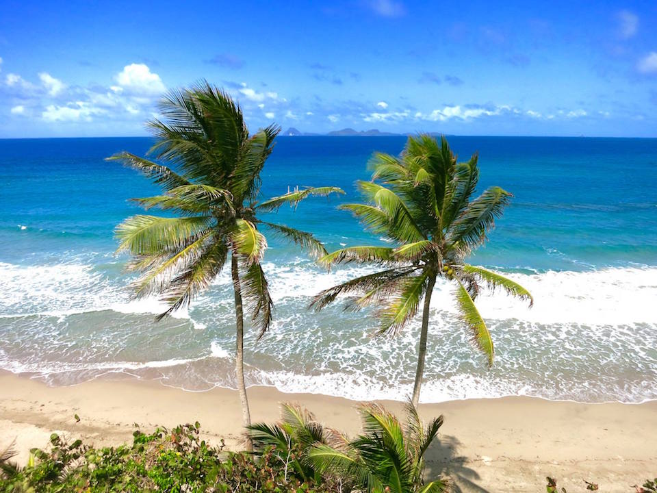 JetBlue Grenada