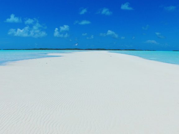 White Bay Sandbar