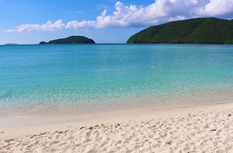 live island live island