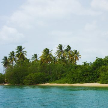 Tobago Cruise Growth