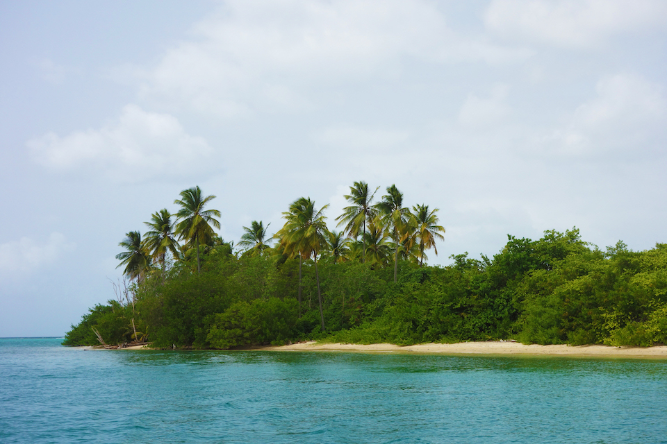 Tobago Cruise Growth