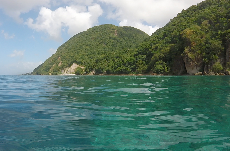 Snorkeling Dominica