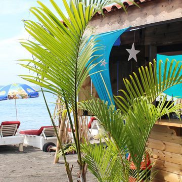 Beach Rum Bar