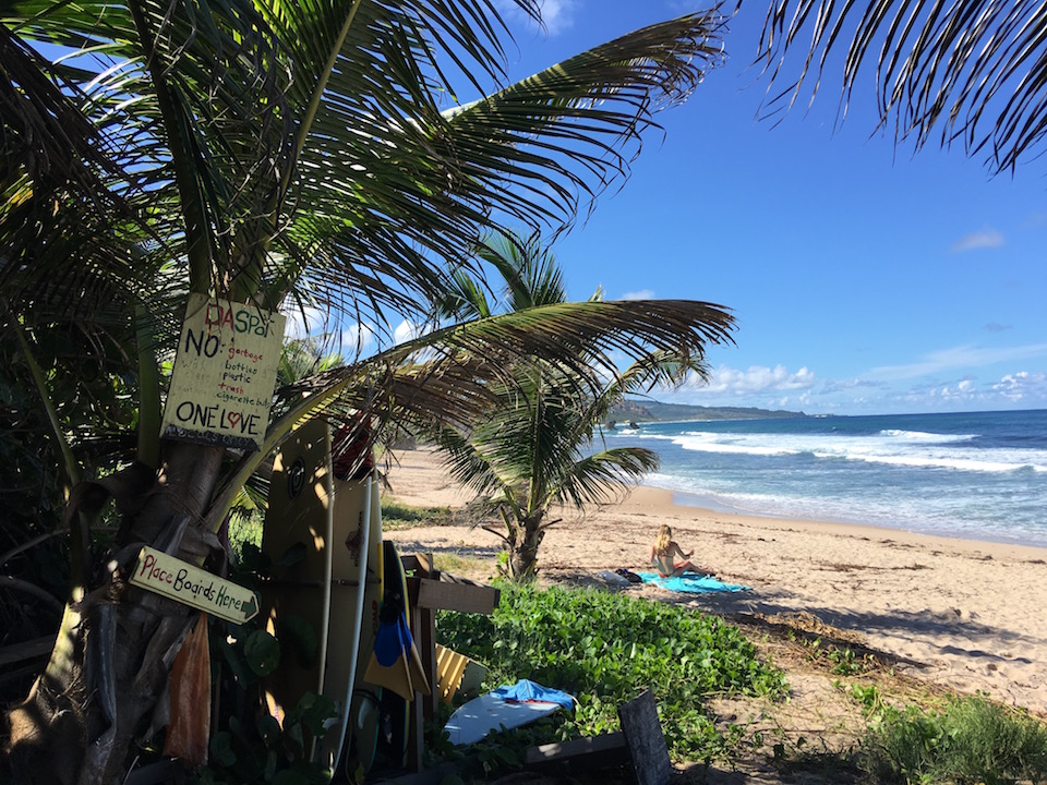 Surfing in Bathsheba.