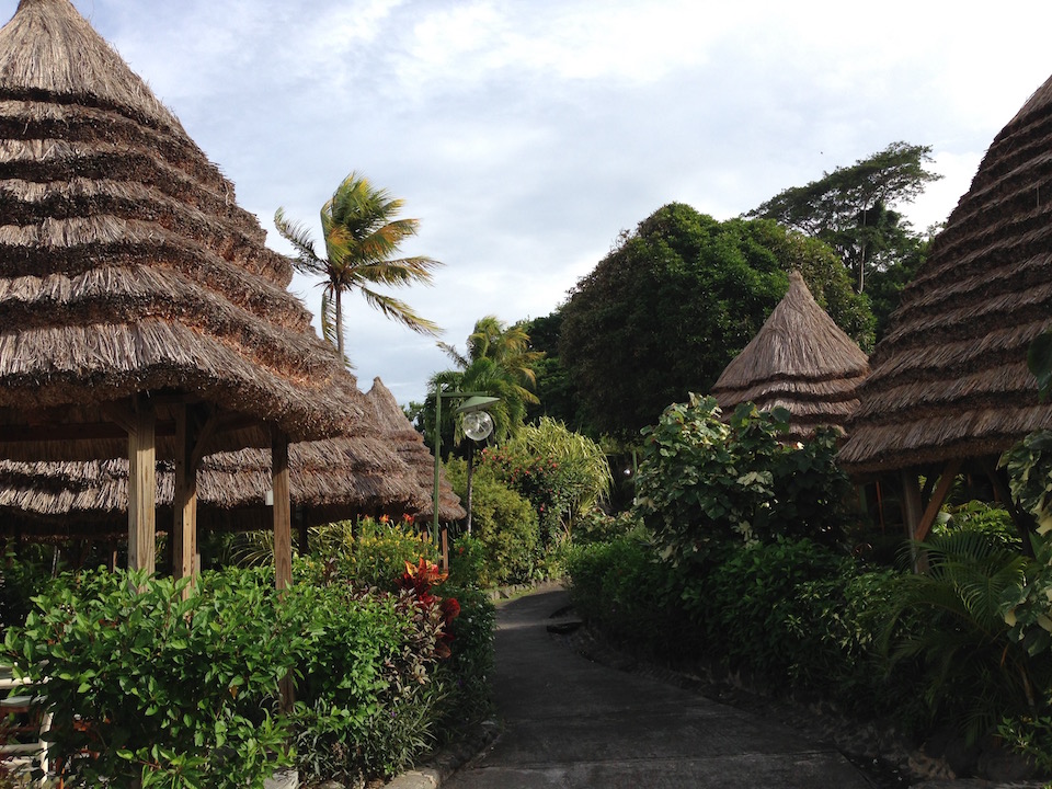 The thatched-roof cottages.