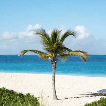 Turks and Caicos All Inclusive