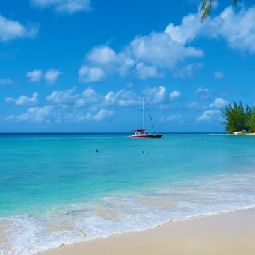 barbados jetblue year round