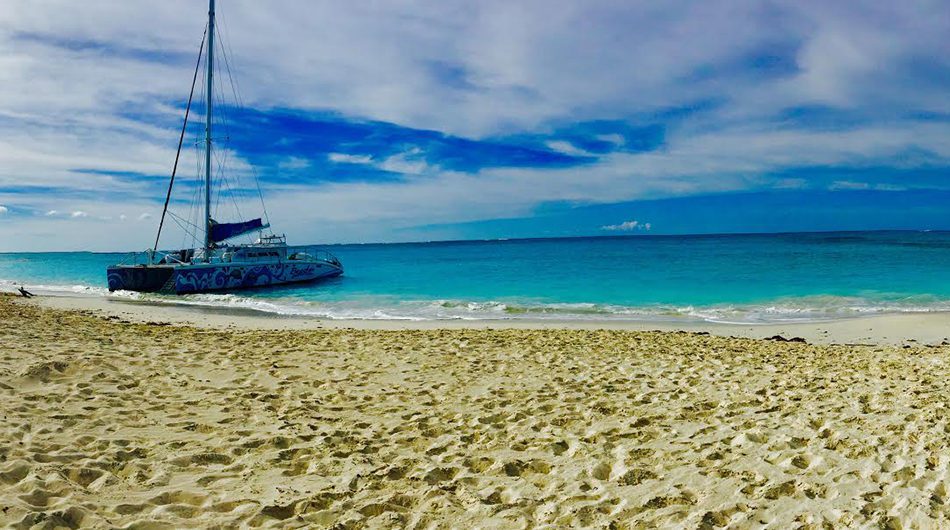 Caribbean Photo of the Week Iguana Island