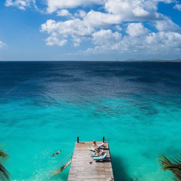 american airlines bonaire