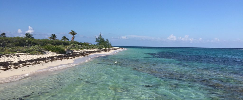 cayman islands tourism pace
