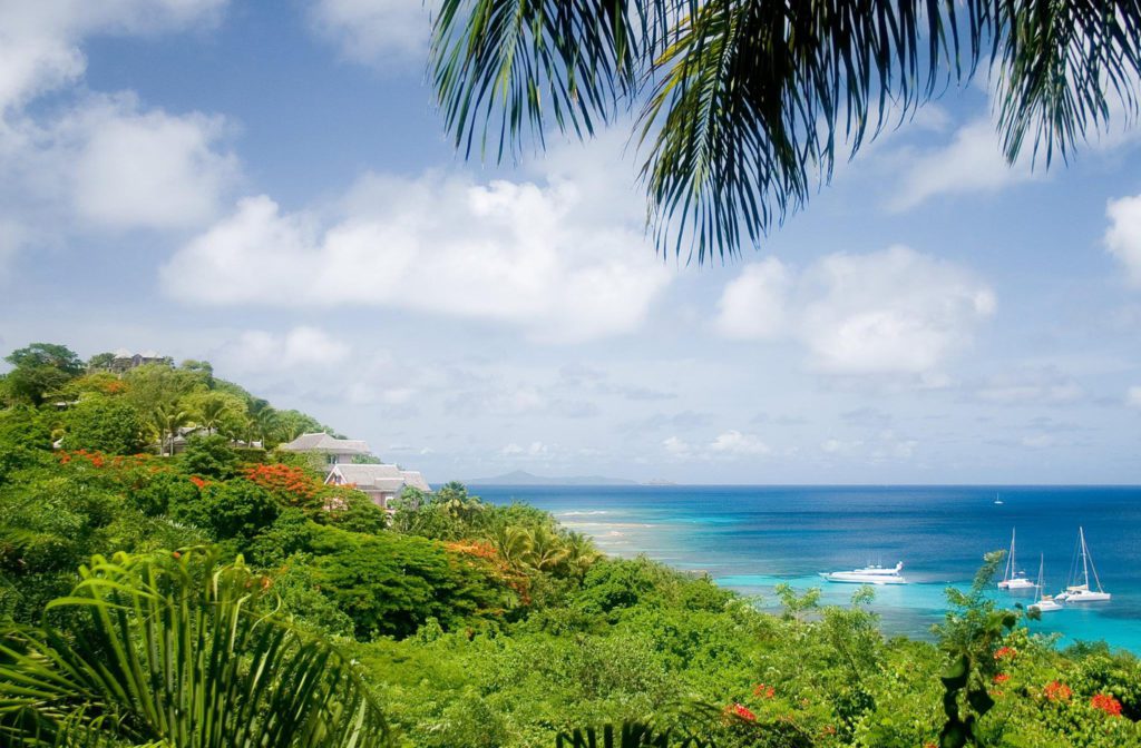 Caribbean Airlines Launches Nonstop New YorkSt Vincent Flights