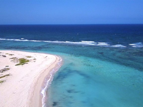 aruba beaches best cover