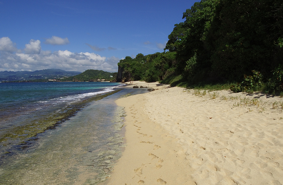 caribbean climate