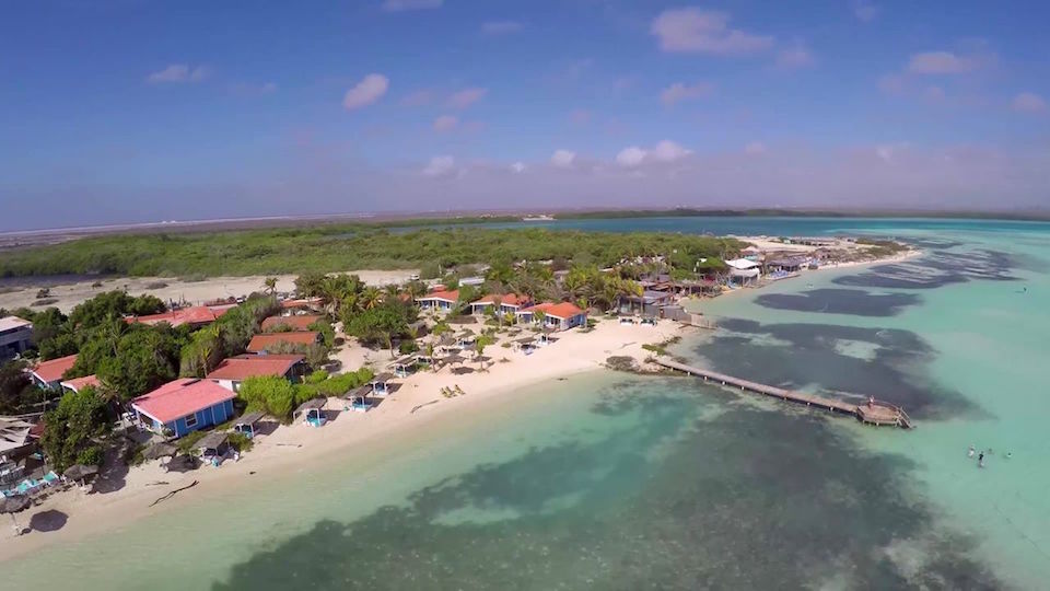 windsurfing bonaire