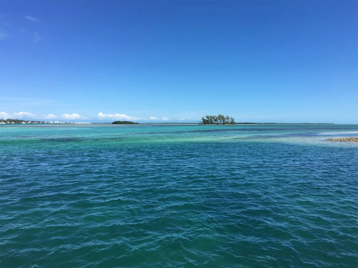 bahamas bimini