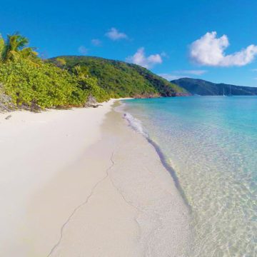 guana island