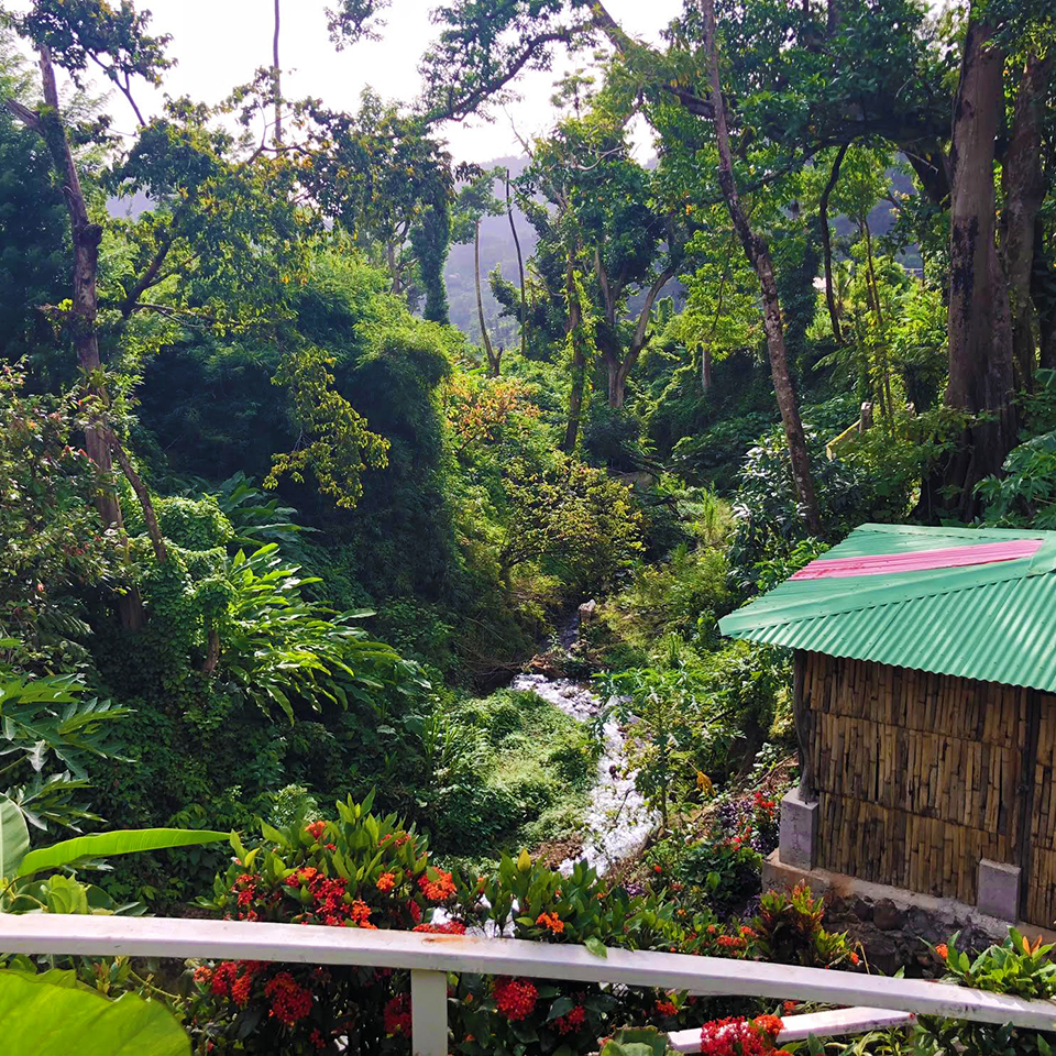 dominica caribbean