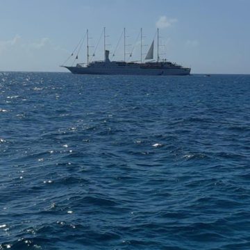 barbuda windstar