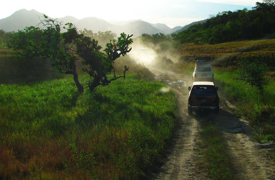 guyana american airlines