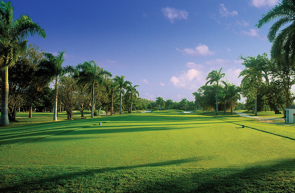jamaica caribbean golf