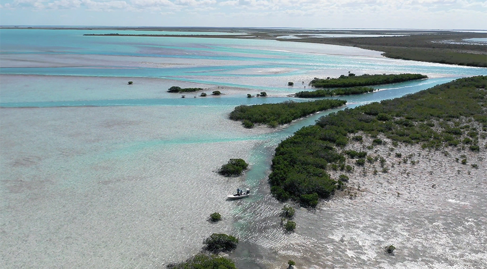 bahamas andros adventure